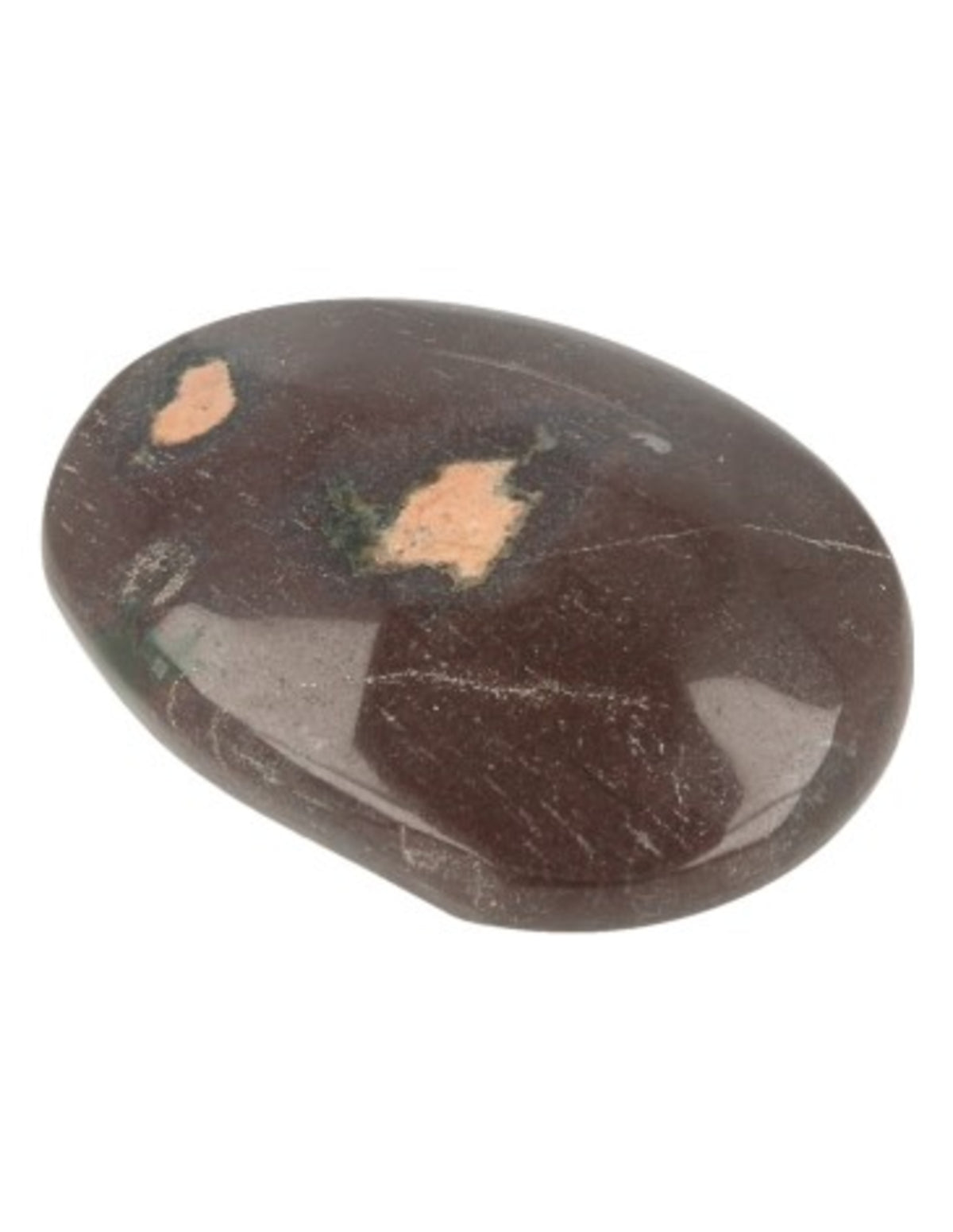 Turritellaagat sten, fossil, 4 till 5 cm