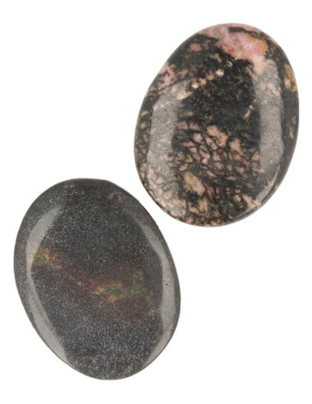 Turritellaagat sten, fossil, 4 till 5 cm