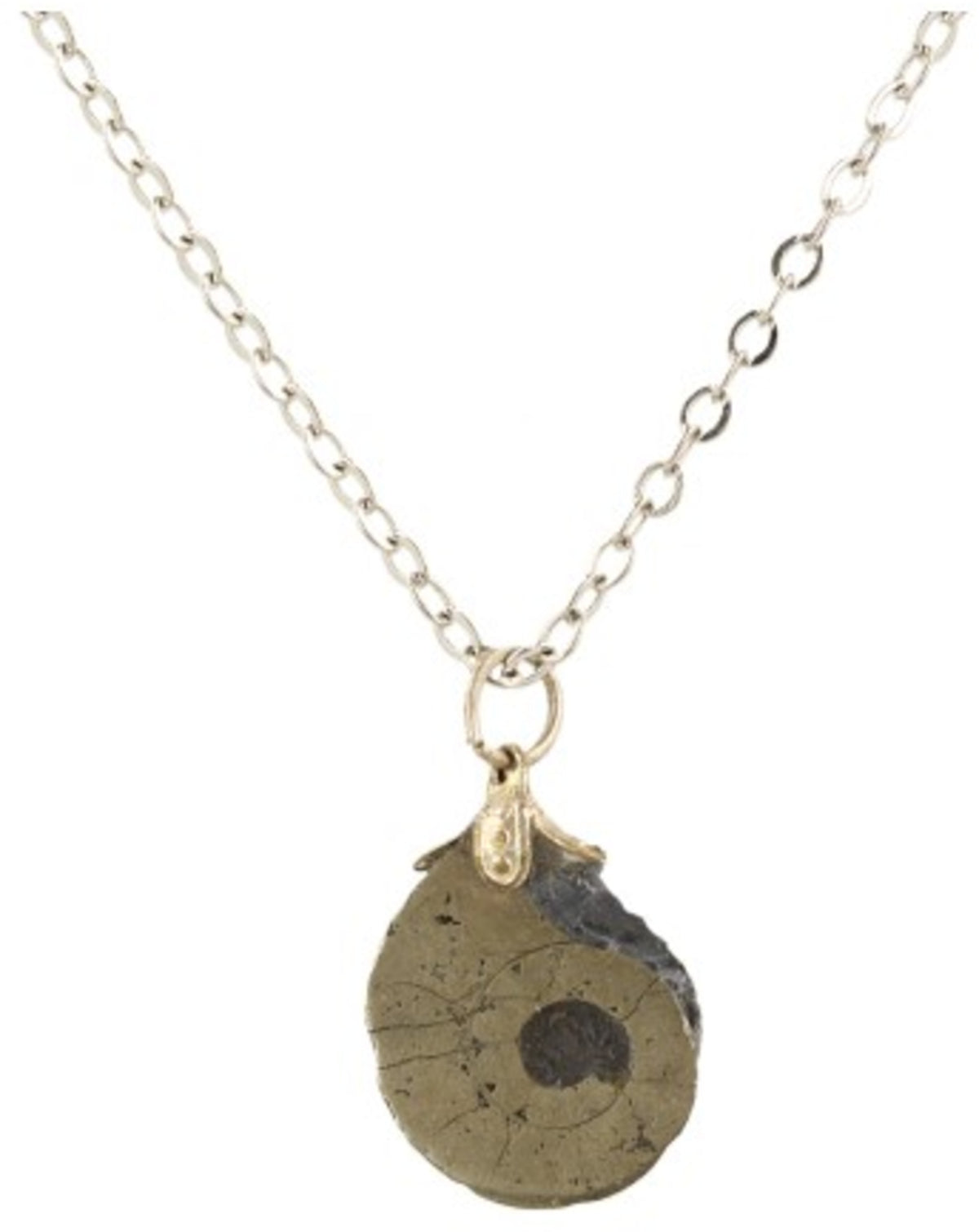 Ammonit hänge, fossil, 1 till 1,5 cm