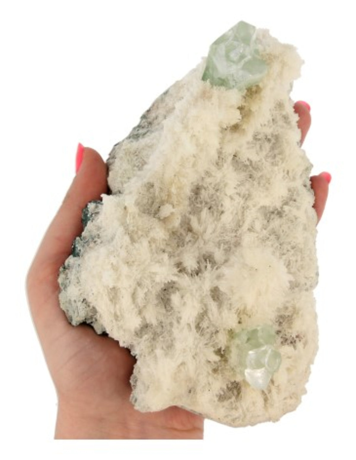 Apofyllit grön på skolecit, Indien, 17 x 12 x 6, nr 321