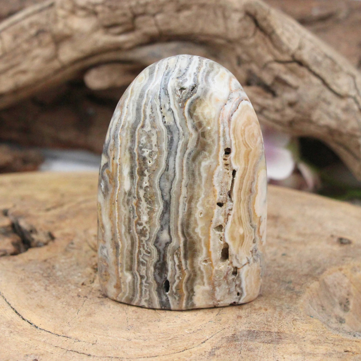 Aragonit zebra skulptur, 8,5 x 3,5 x 5,7 cm, nr 01