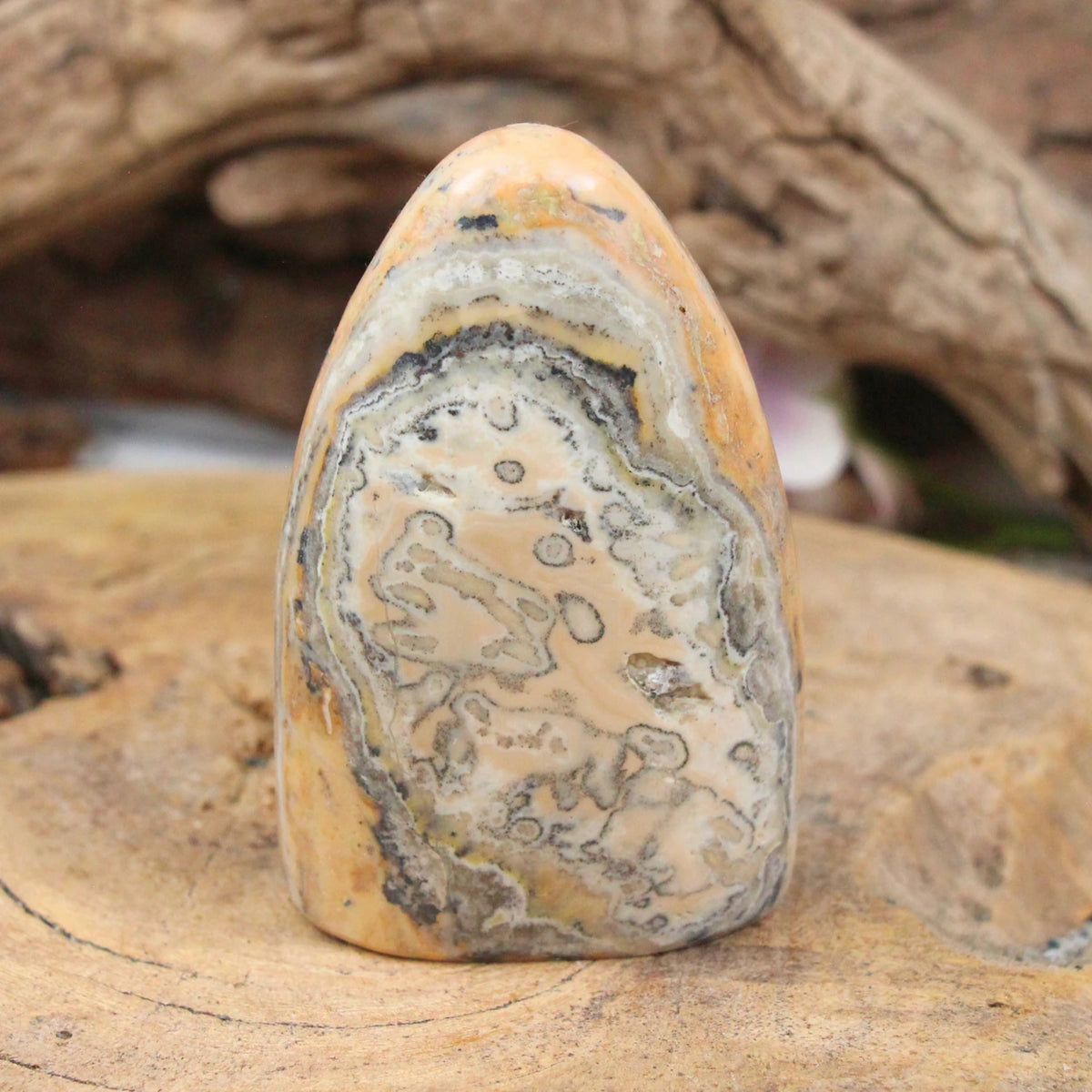 Aragonit skulptur, zebramönstrad, 280 g, nr 03