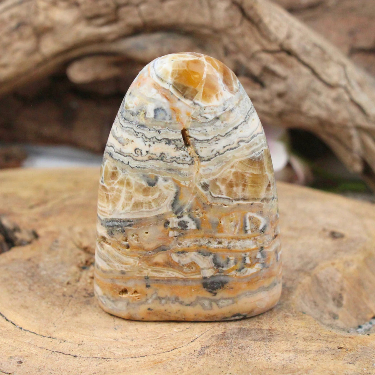 Aragonit zebra skulptur, 8,8 x 3,3 x 6,2 cm, nr 04