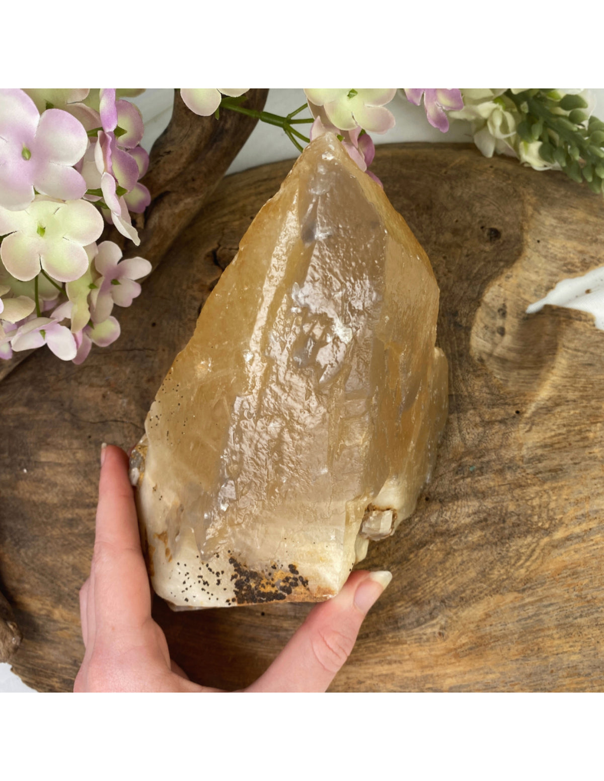 Honungskalcit spets, rå, 18 cm, nr 10 (1,67 kg)