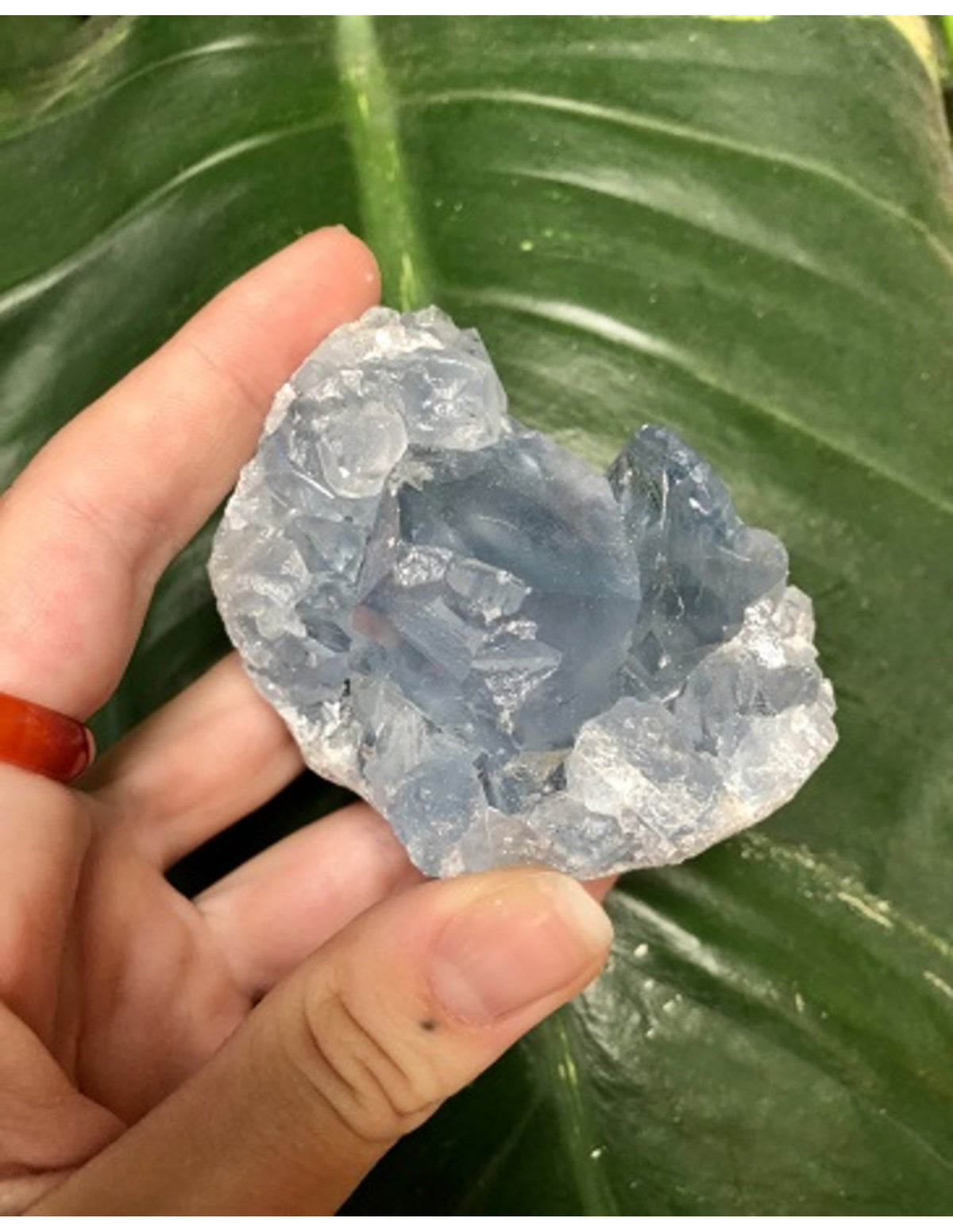 Celestin råa bitar, 3 till 5 cm, 40 till 110 g per bit