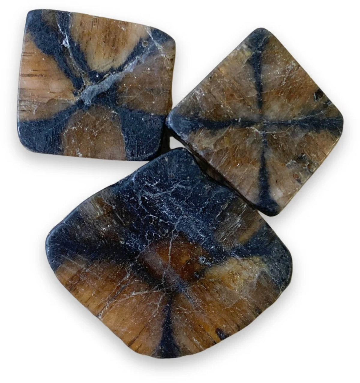 Kiastolit skiva, korsstenen, 2,5 till 4 cm