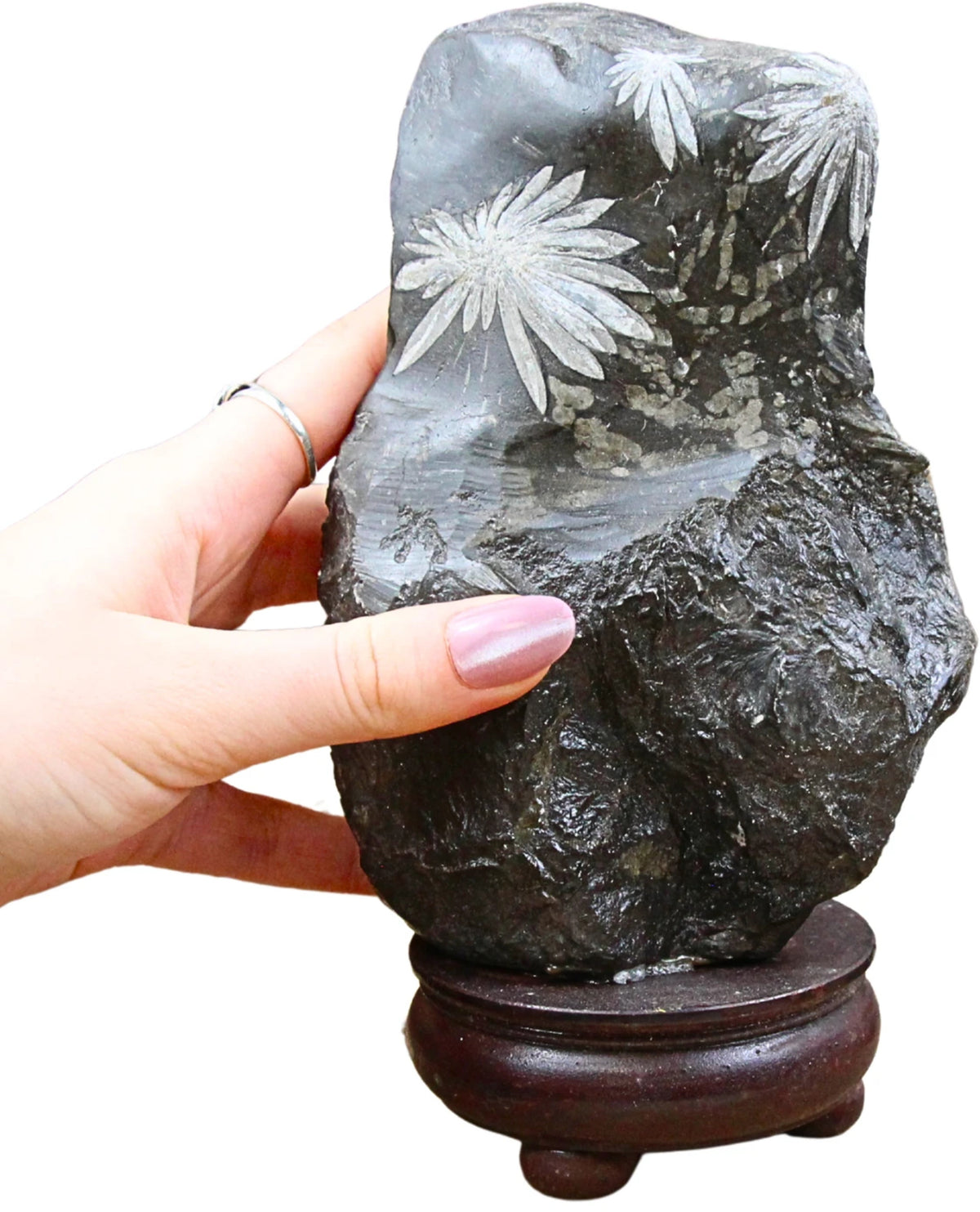 Krysantemumsten skulptur, grå med vita blommor, 19,5 cm, nr 11