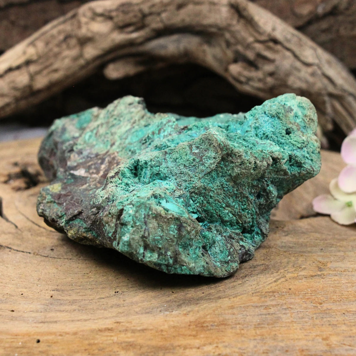 Krysokolla rå, 16,3 cm, Peru, nr 19