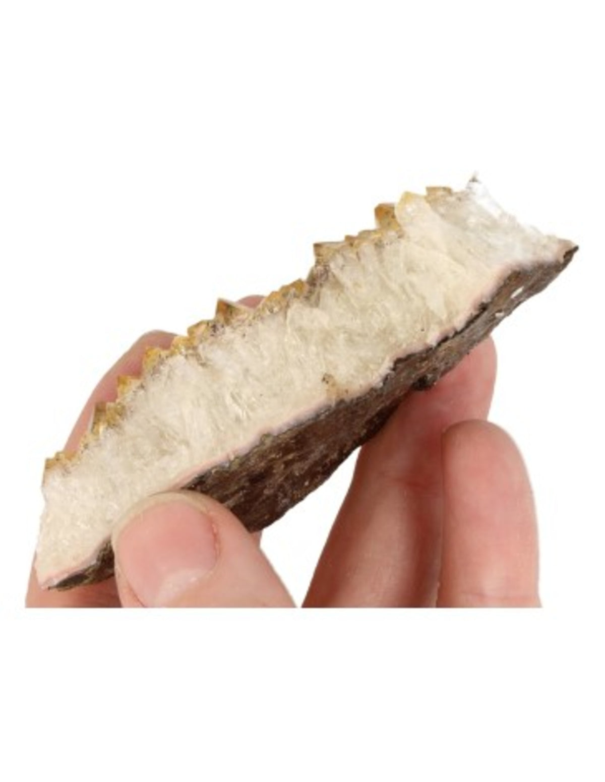 Citrin rå, upphettad, 50 till 100 g, Brasilien