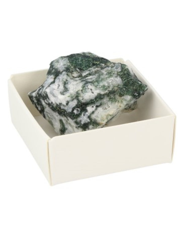 Trädagat i ask, rå bit, ask 5 x 5 cm