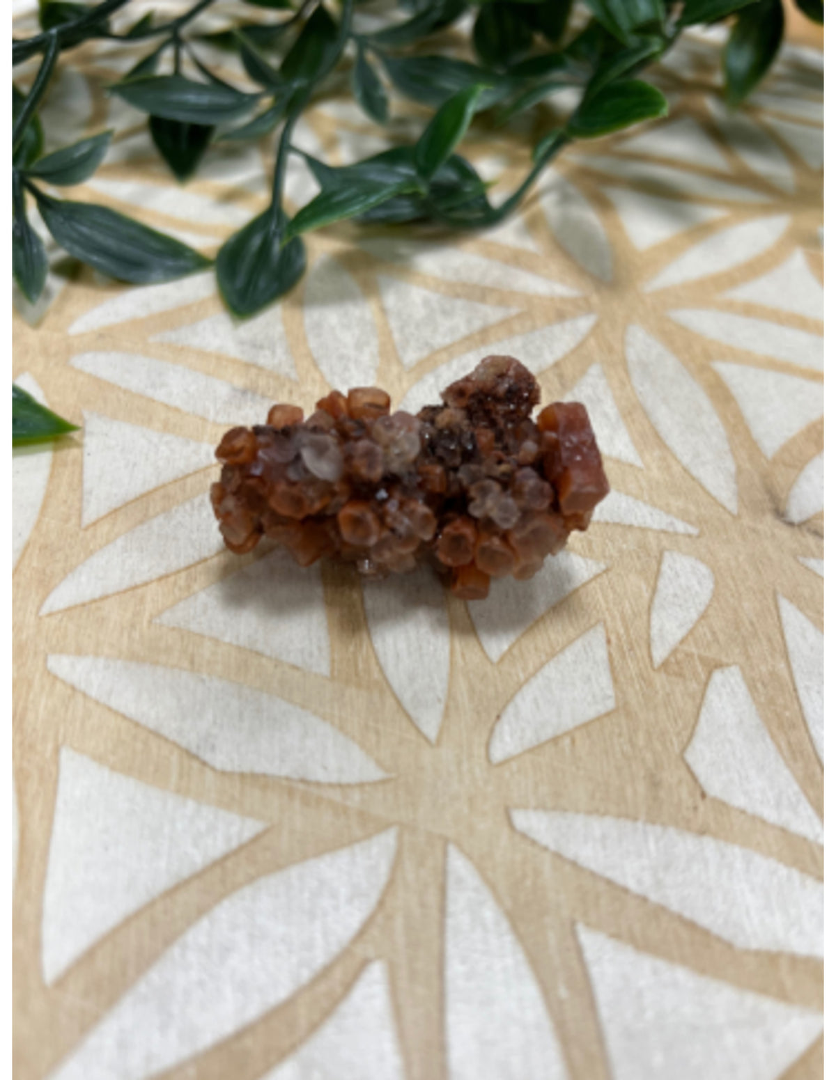 Aragonit rosett i liten ask, 5 x 5 cm