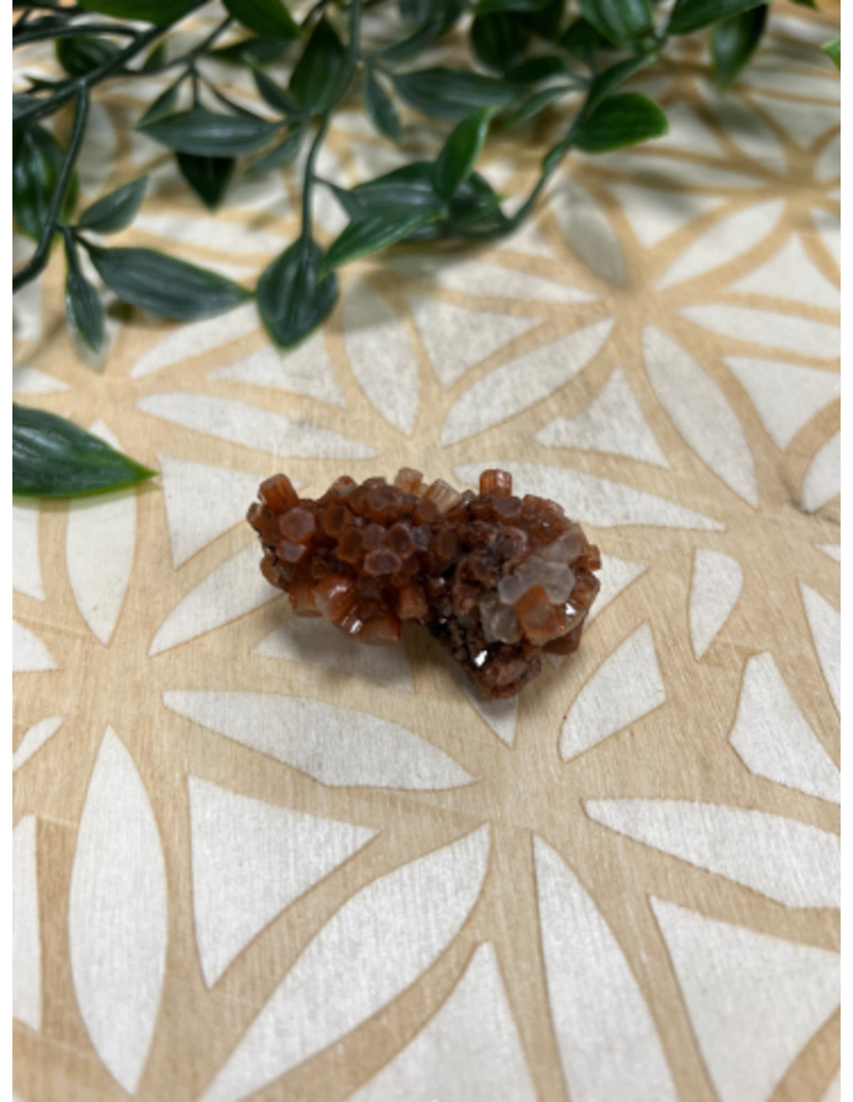 Aragonit rosett i liten ask, 5 x 5 cm