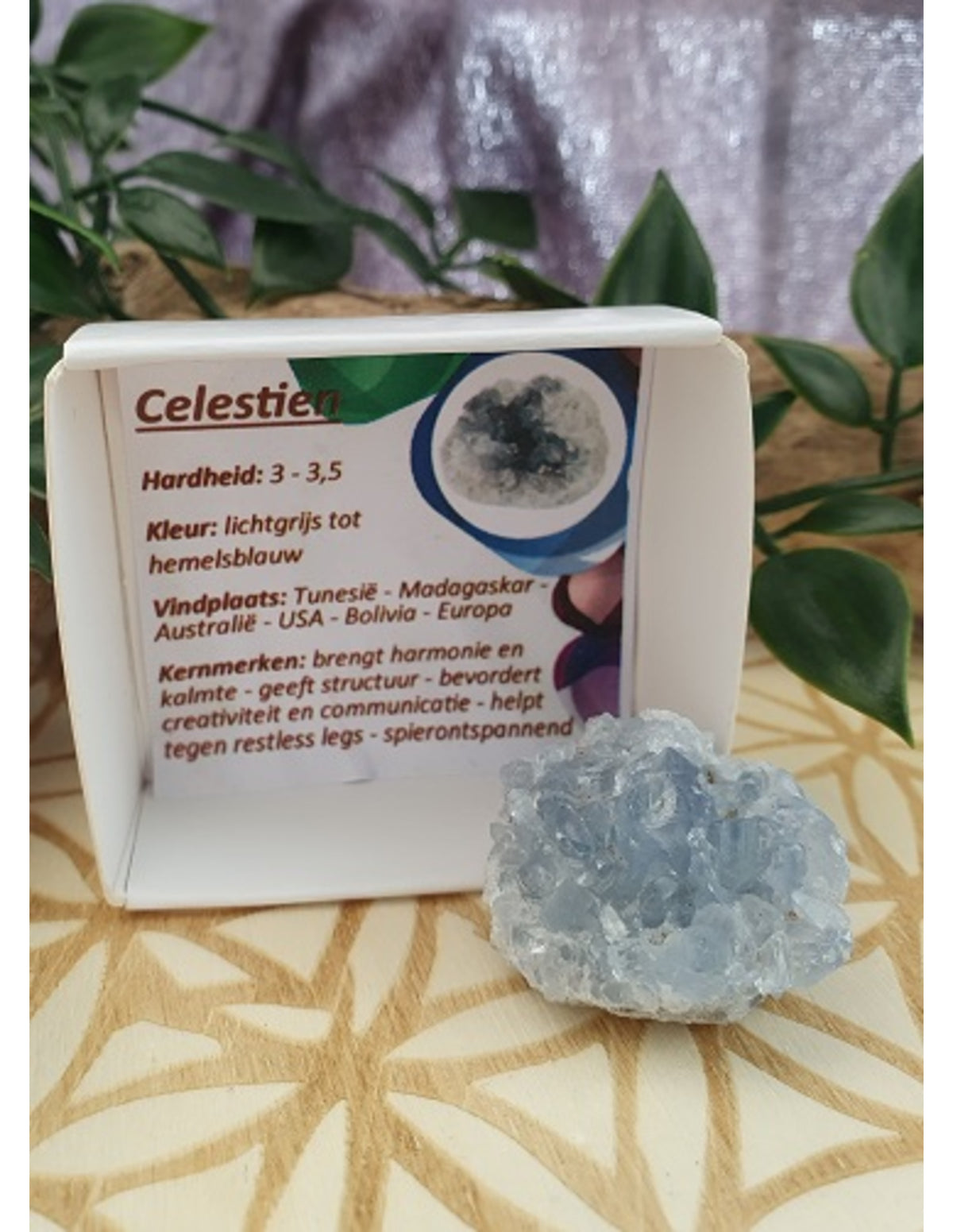 Celestin sten i ask, 3 till 5 cm
