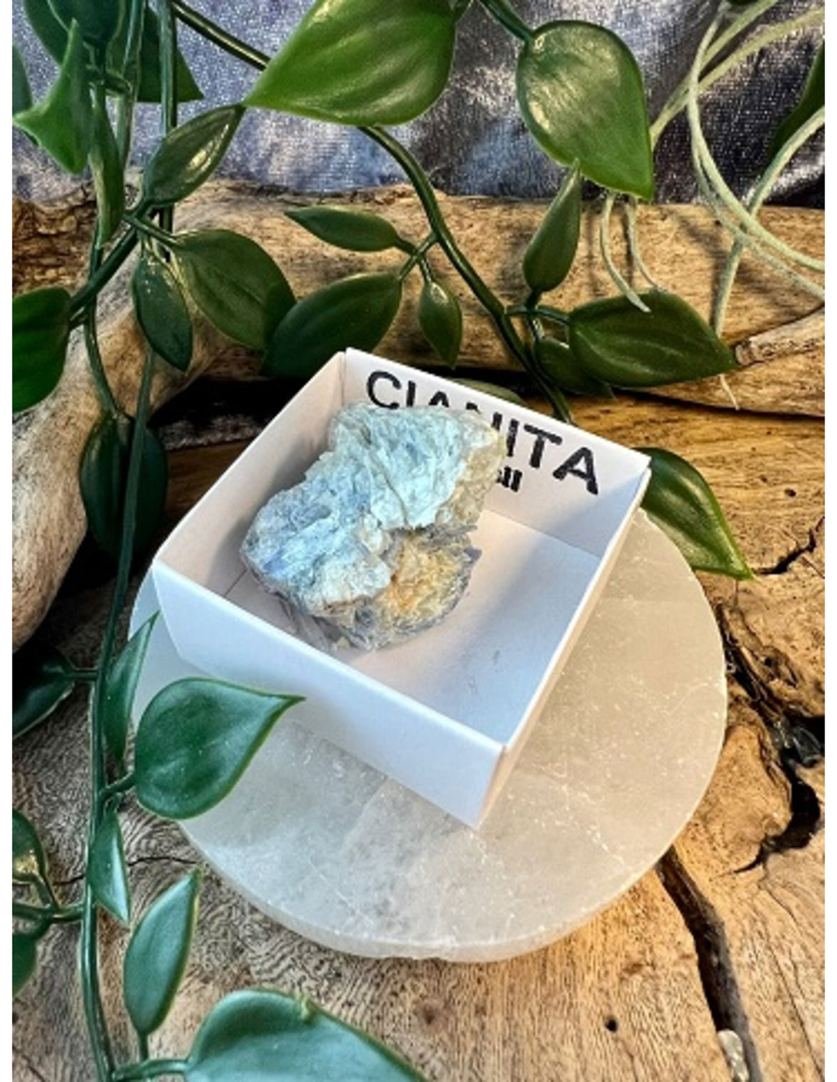 Kyanit blå mineralprov i ask, 2 till 4 cm