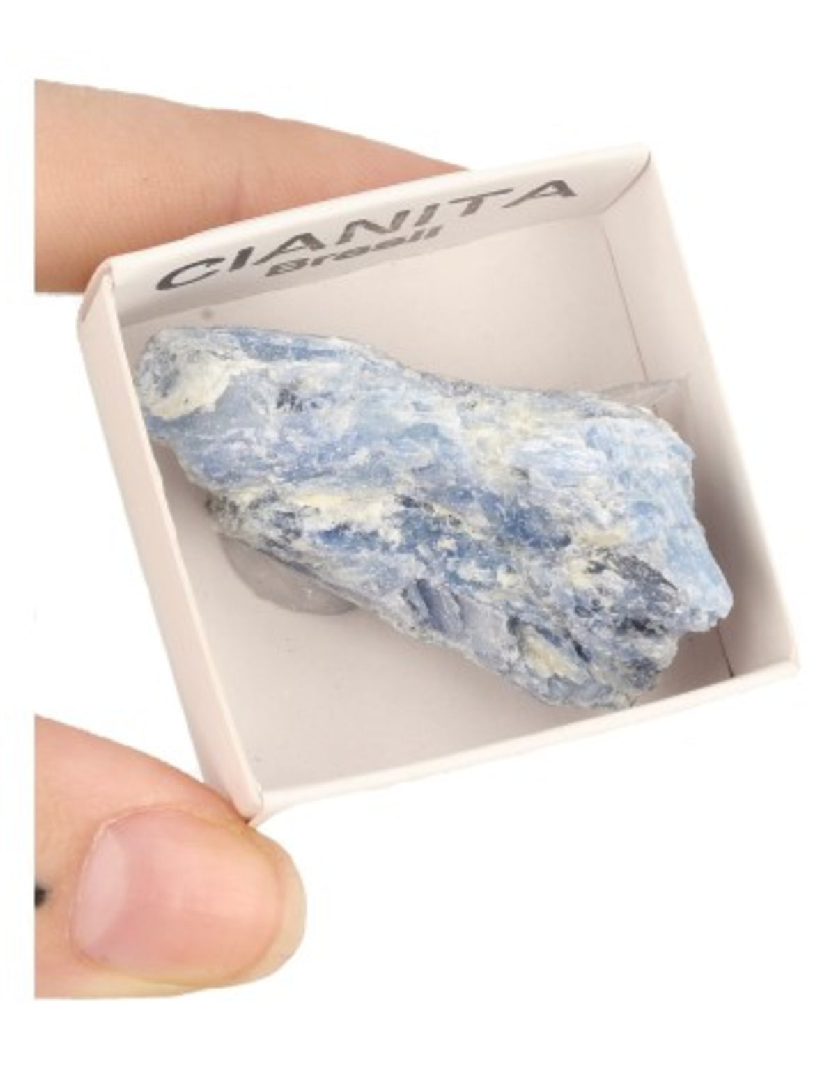 Kyanit blå mineralprov i ask, 2 till 4 cm