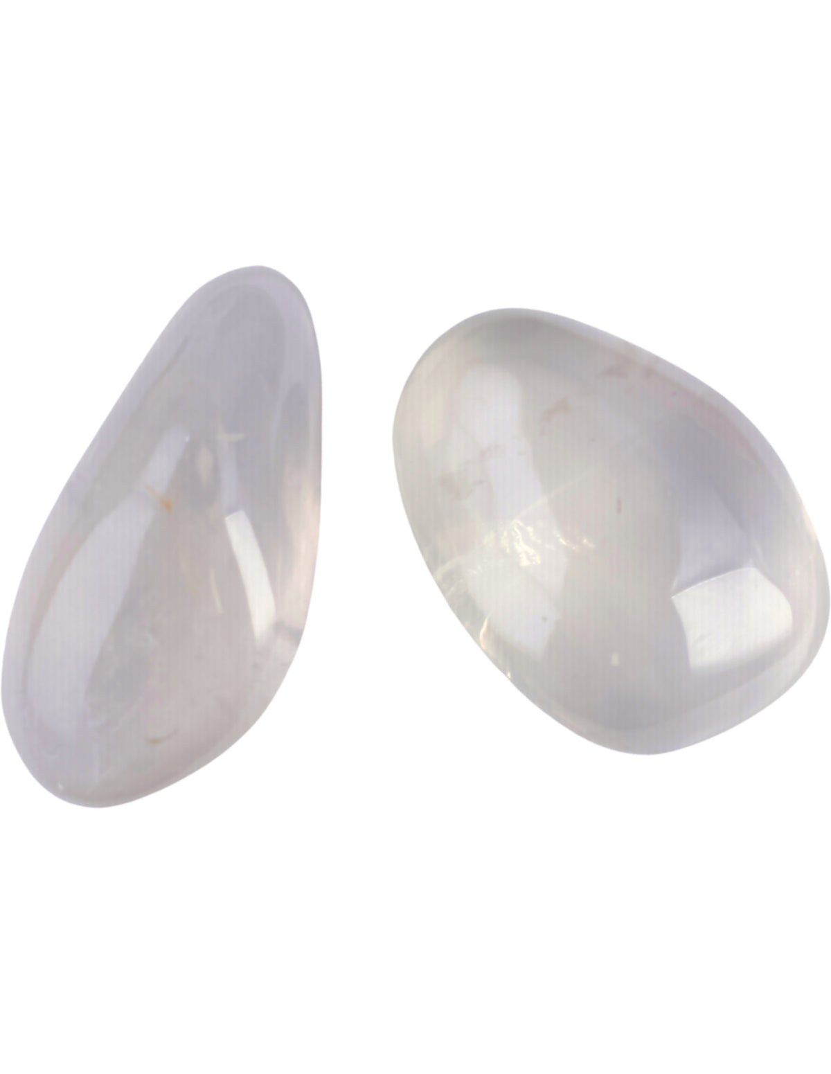 Gyrasol palmsten, mjölkvit, 5 till 7 cm, Madagaskar