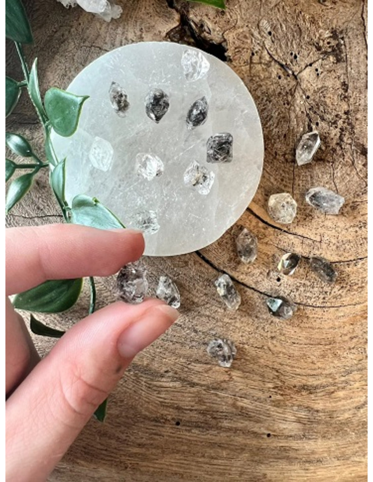 Herkimer diamant, rå kristall, 0,5 till 1 g, 10 till 18 mm