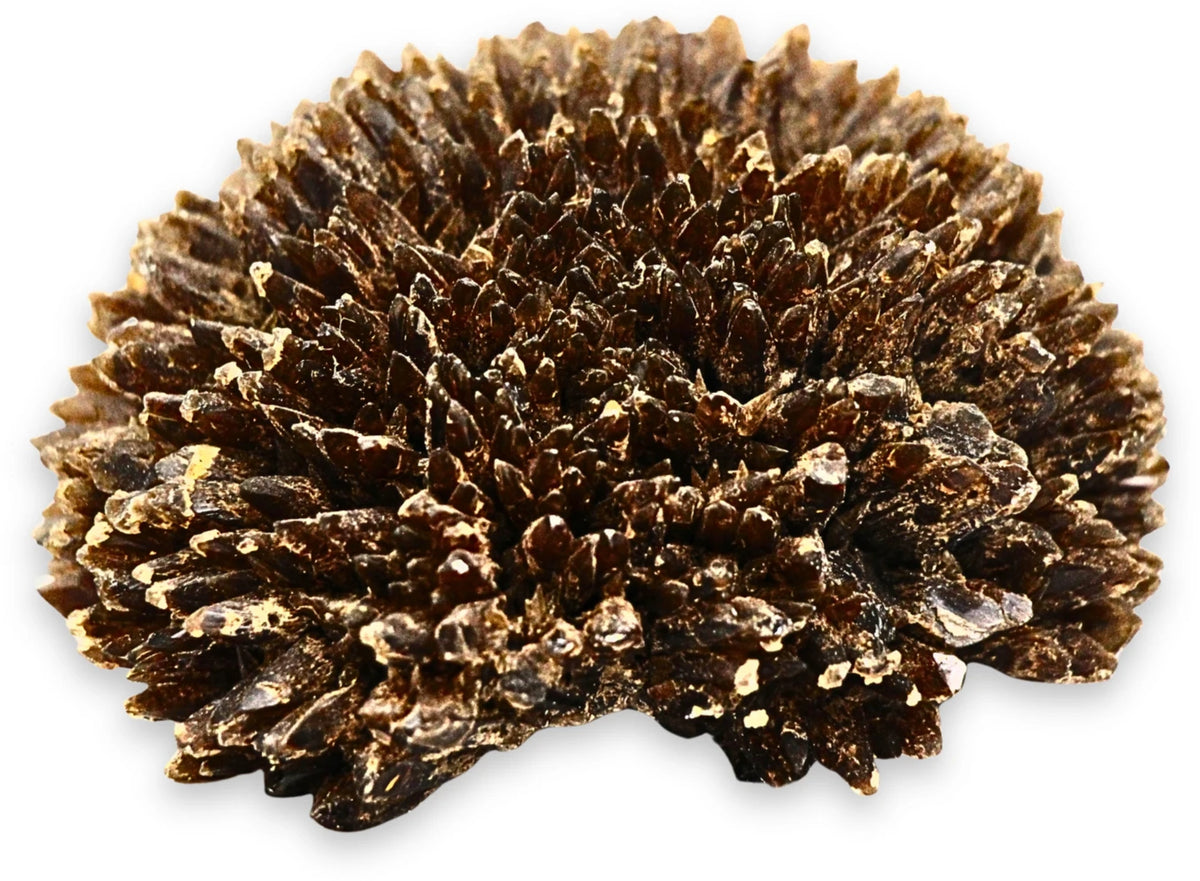 Honungskalcit rå, honungsgul, 9,3 cm, nr 01