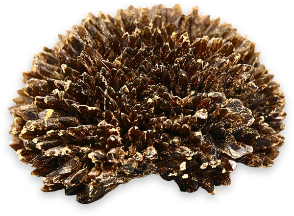 Honungskalcit rå, honungsgul, 9,3 cm, nr 01