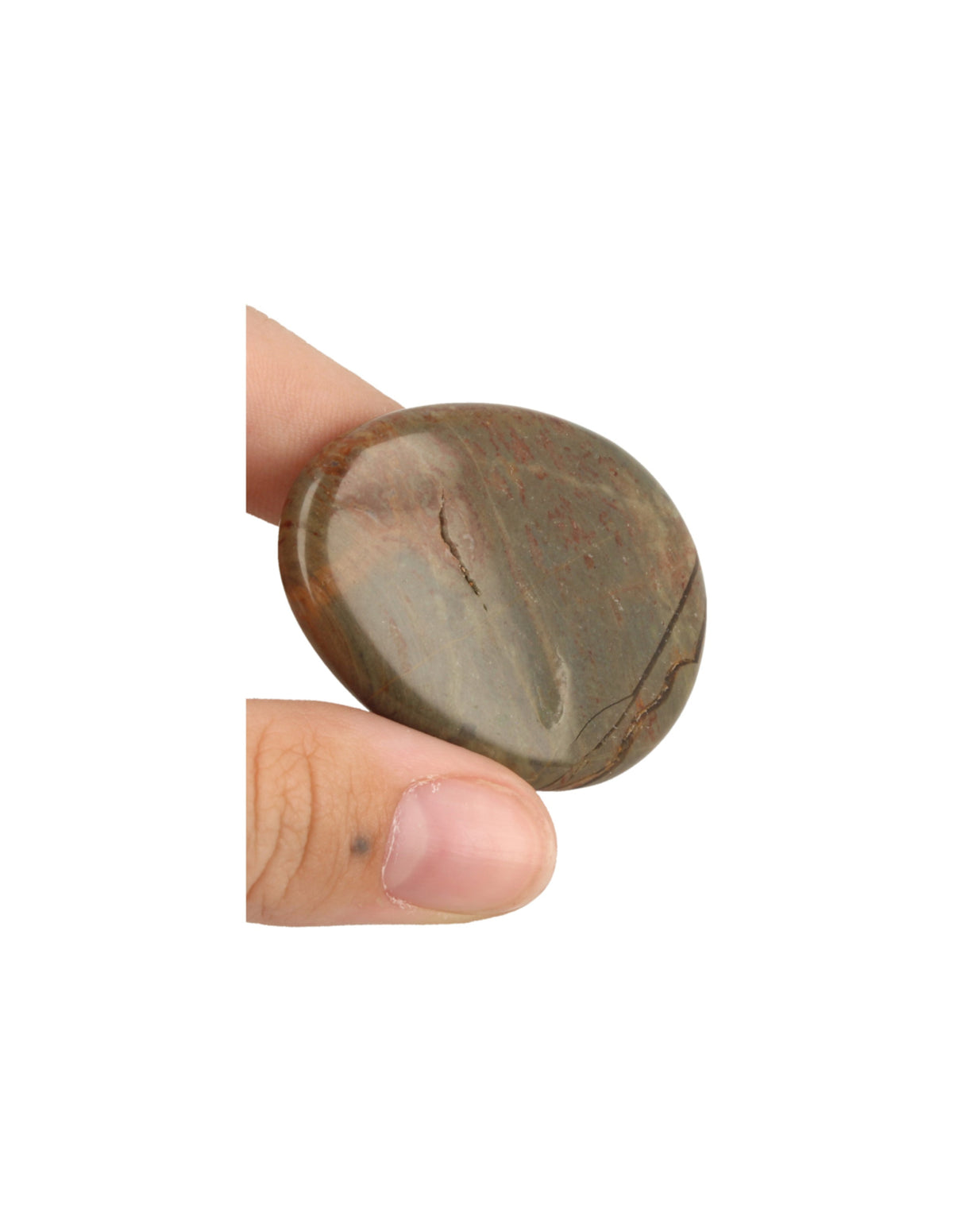 Ådjaspis ficksten, rödbrun, 4 till 6 cm, Indien