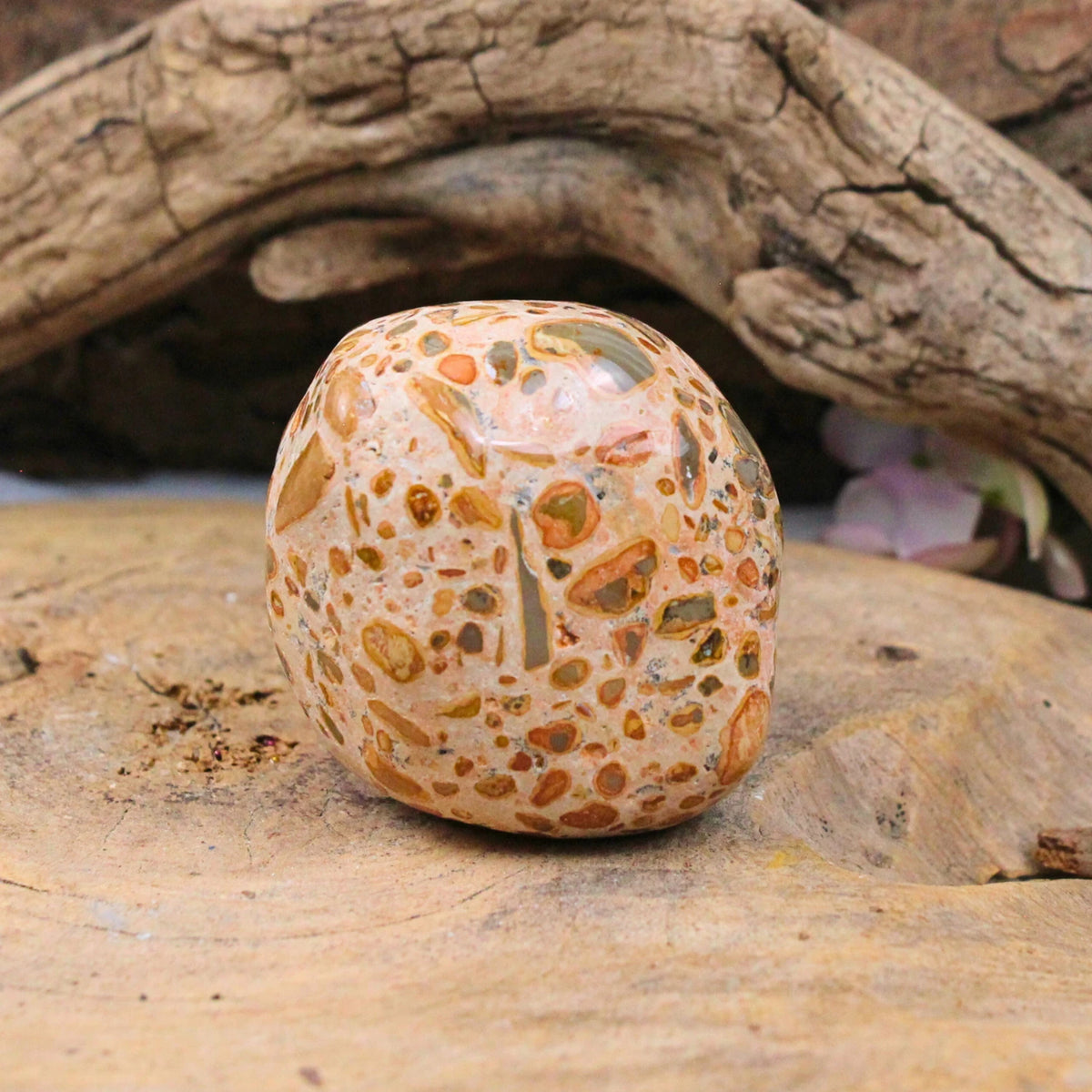 Big Bang jaspis handsten, leopardmönster, 6,6 cm, nr 03