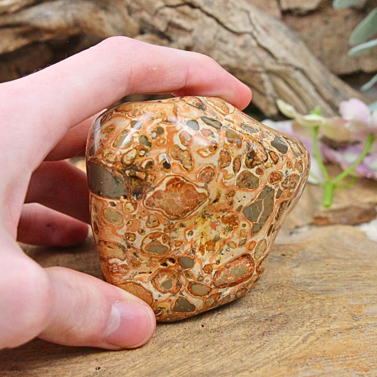 Big Bang jaspis palmsten, 7,2 x 6 x 7 cm, nr 04
