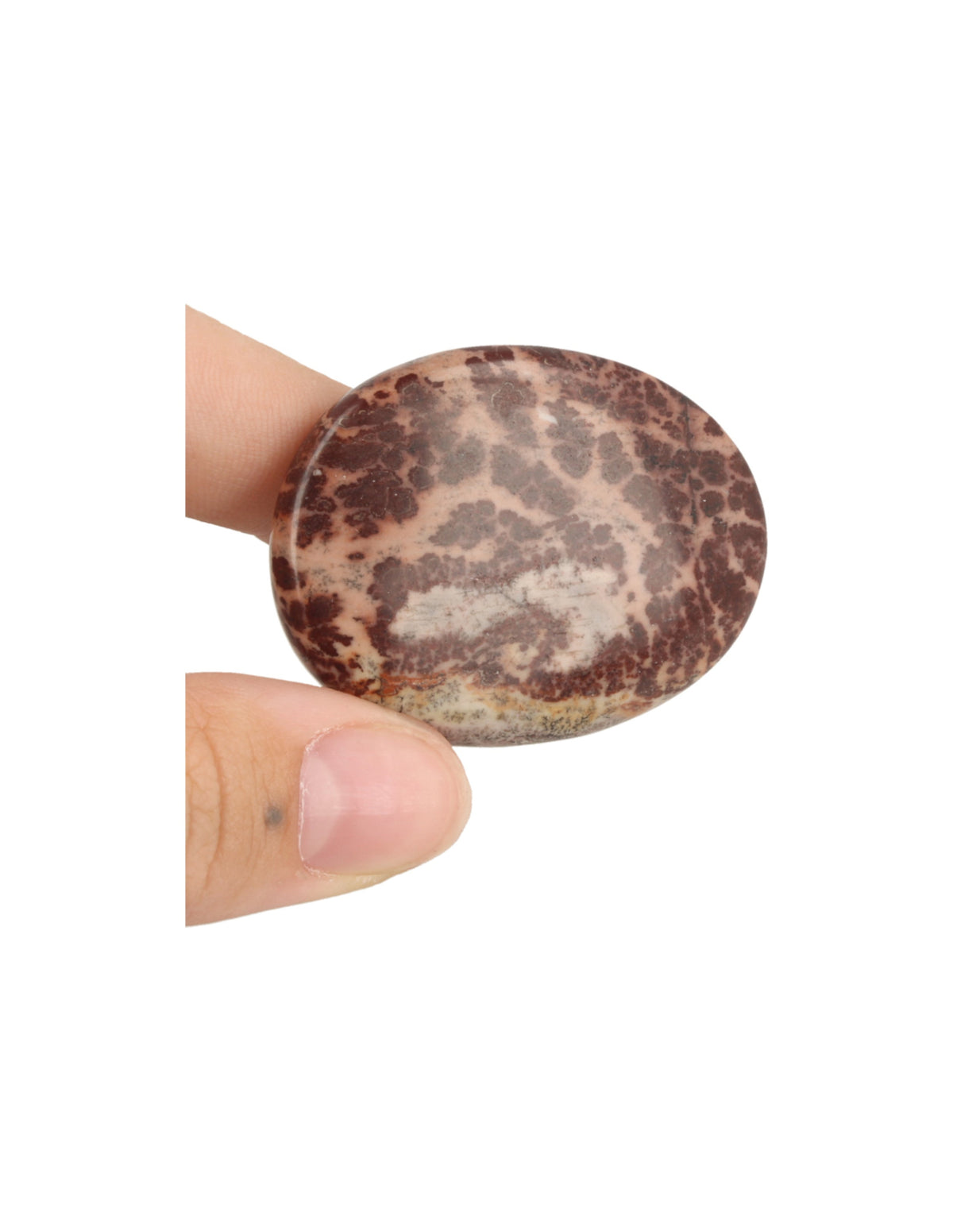 Chokladjaspis ficksten, brun, 3 till 5 cm