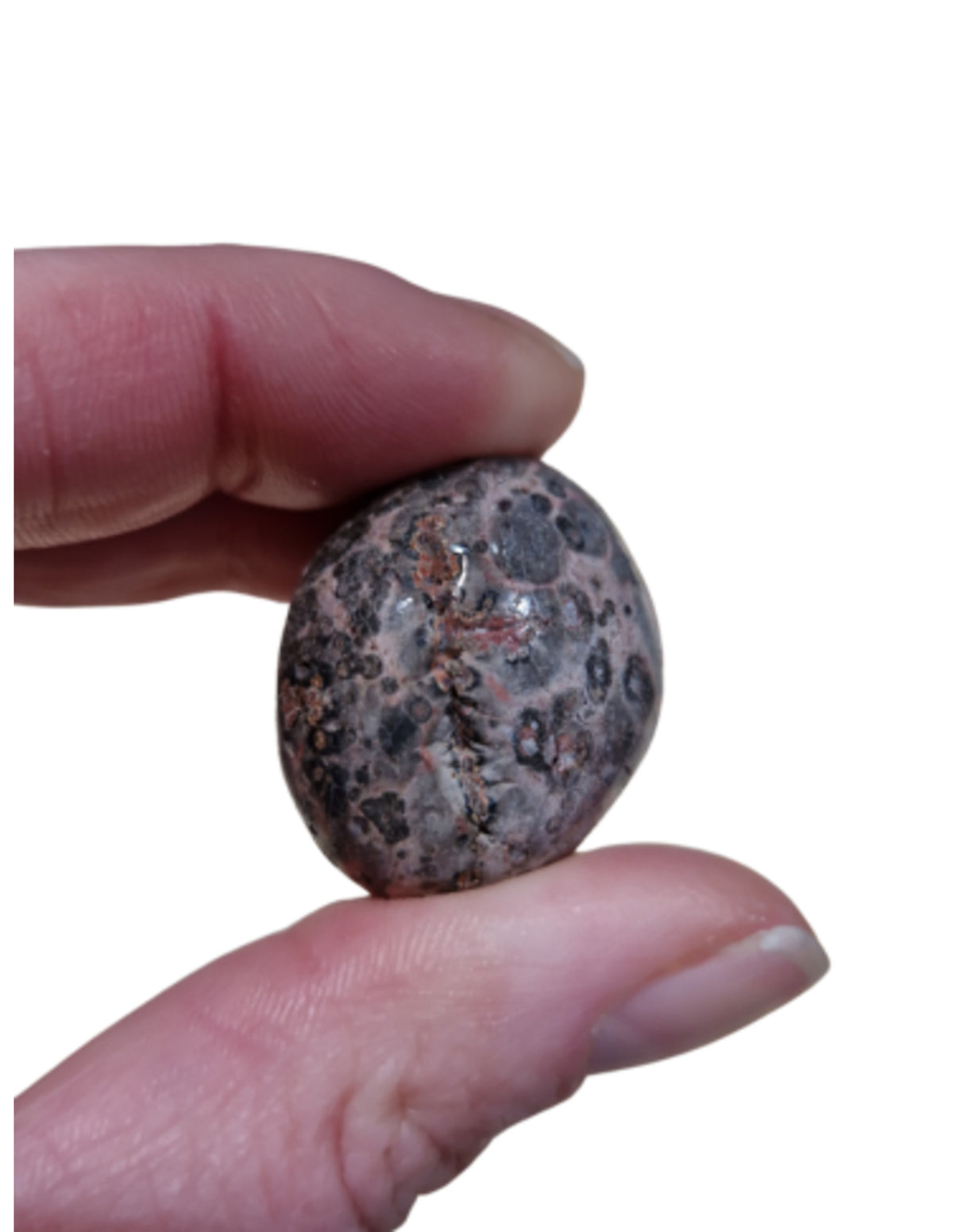 Leopardjaspis trumlade stenar, 100 g, 1,5 till 4 cm