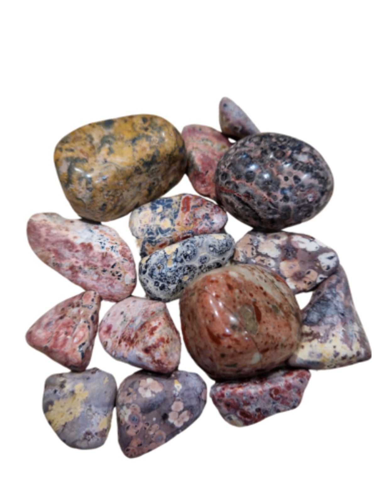 Leopardjaspis trumlade stenar, 100 g, 1,5 till 4 cm