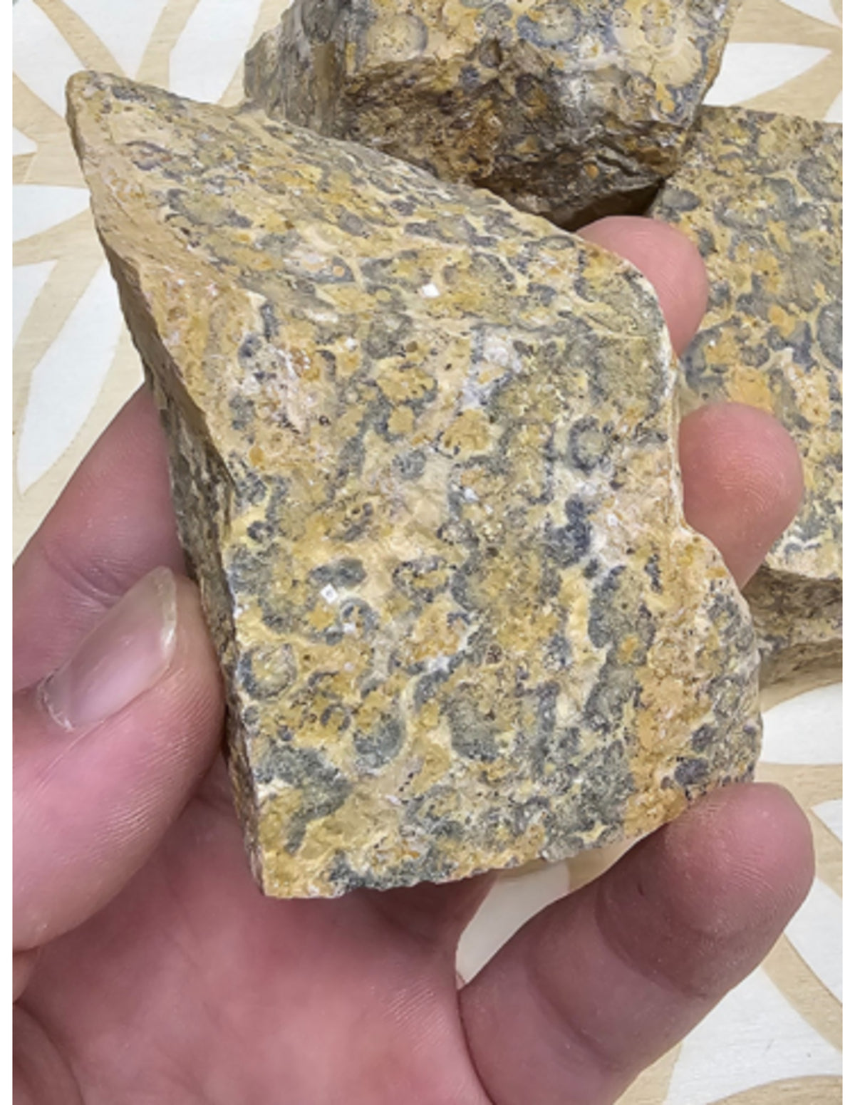 Leopardjaspis råa stenar från Mexiko, 500 g