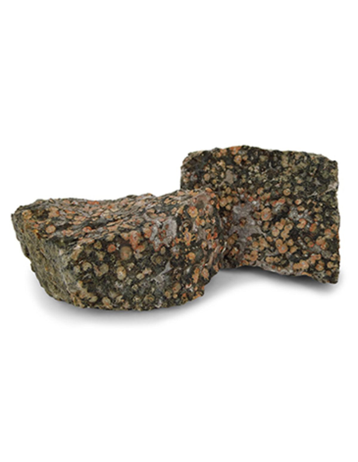 Leopardjaspis råa stenar från Mexiko, 1 kg