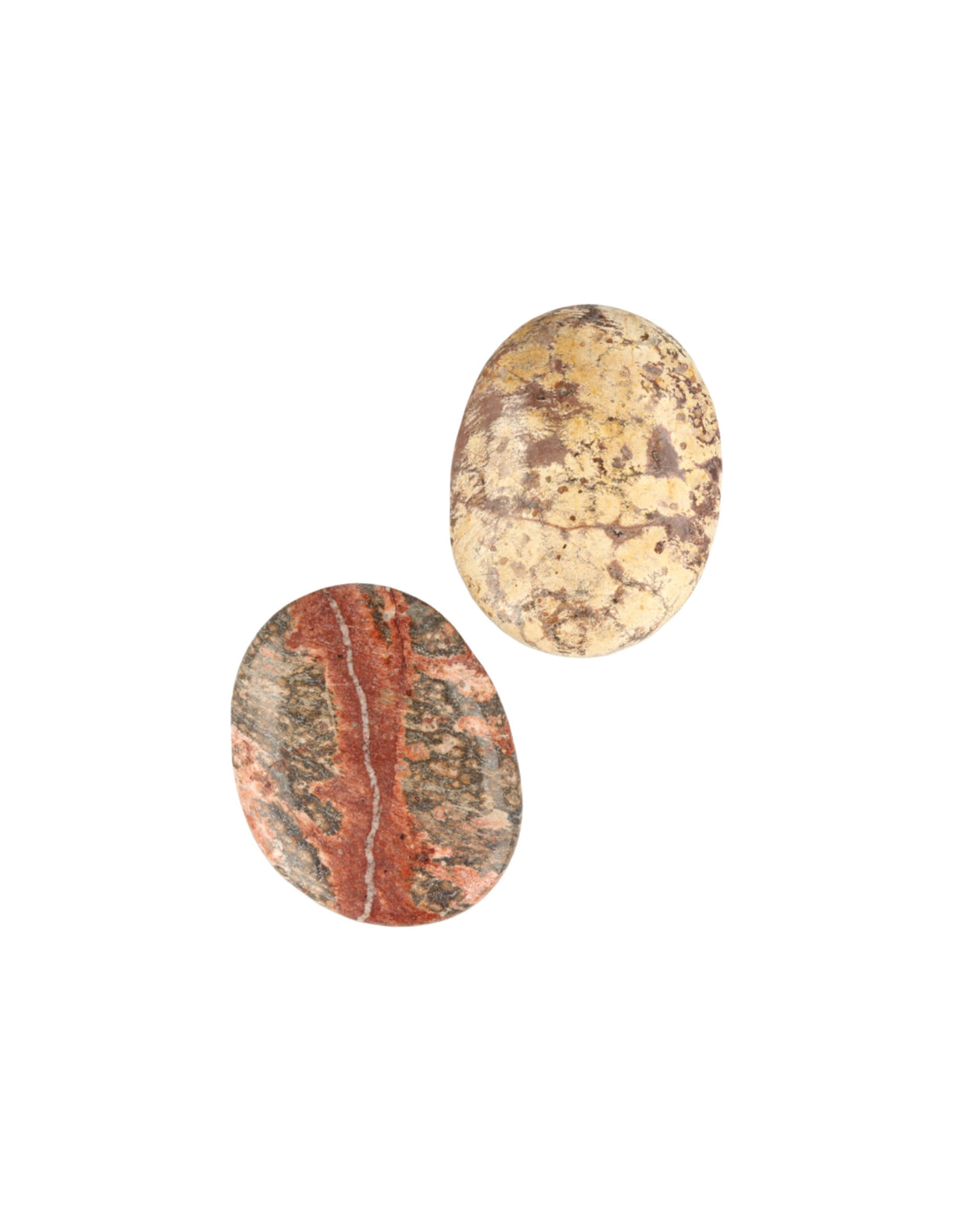 Leopardjaspis ficksten, 4 till 6 cm, Mexiko