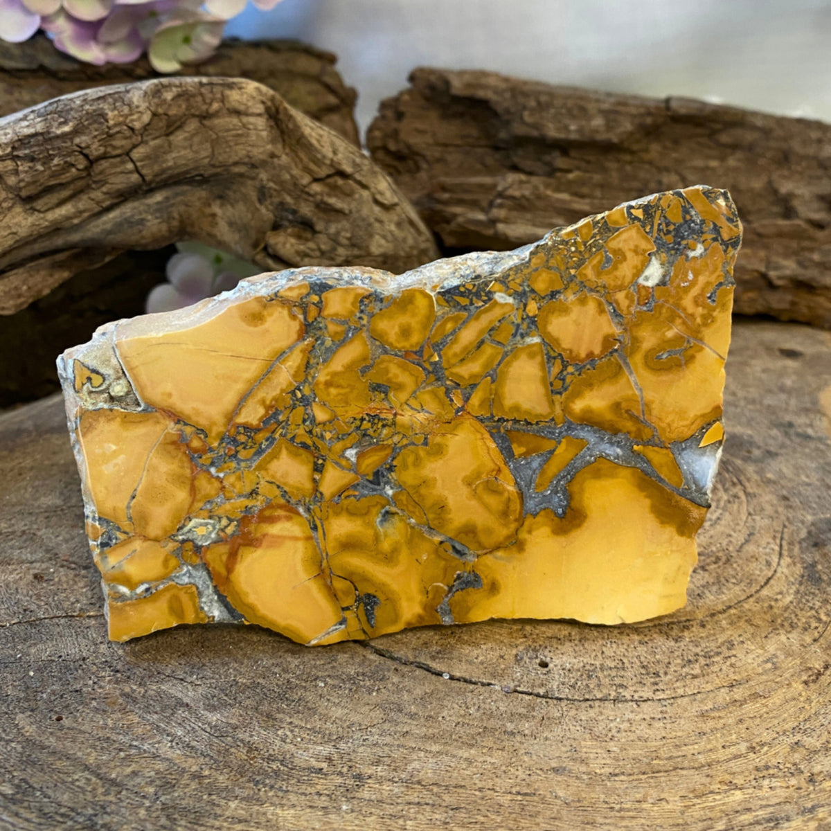 Maligano jaspis skiva, 11,7 x 7,3 cm, nr 16