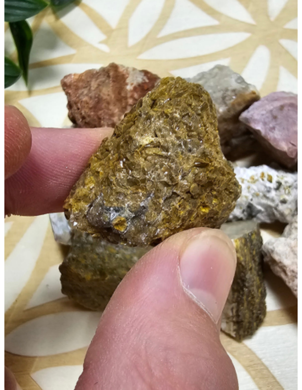 Havsjaspis råa stenar, 250 g