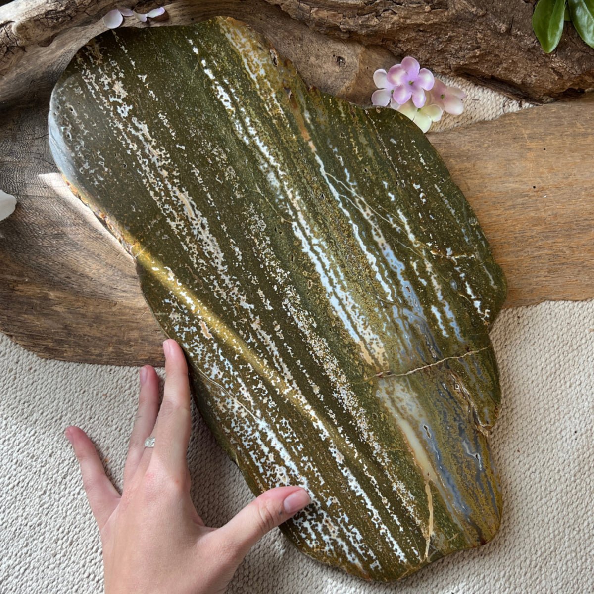Oceanjaspis skiva, polerad, 40 x 22 cm, 2,13 kg, nr 01