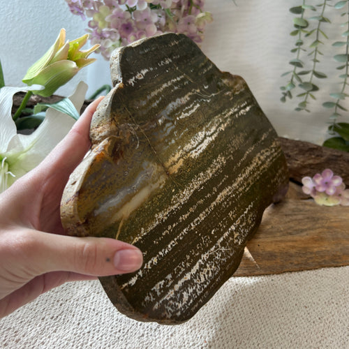 Oceanjaspis skiva, polerad, 40 x 22 cm, 2,13 kg, nr 01