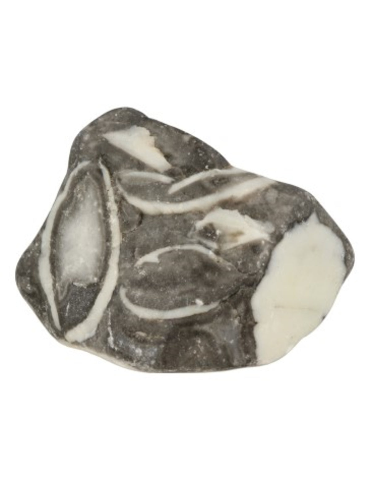 Skaljaspis (musselsten) råa stenar, 400 g