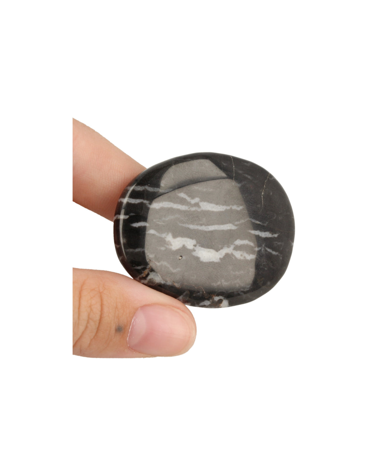 Zebrajaspis ficksten, svartvit, 4 till 6 cm