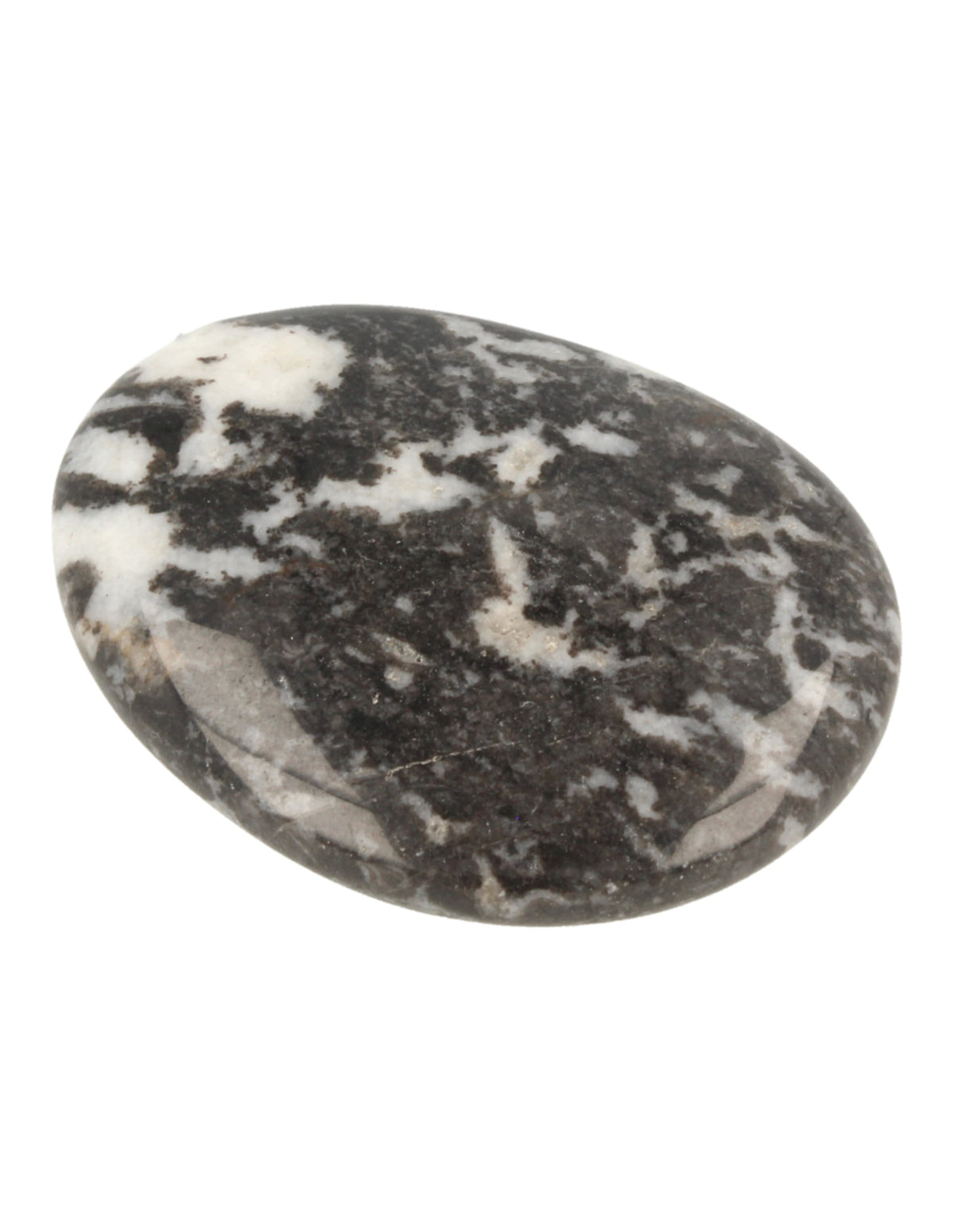 Zebrajaspis ficksten, svartvit, 4 till 6 cm