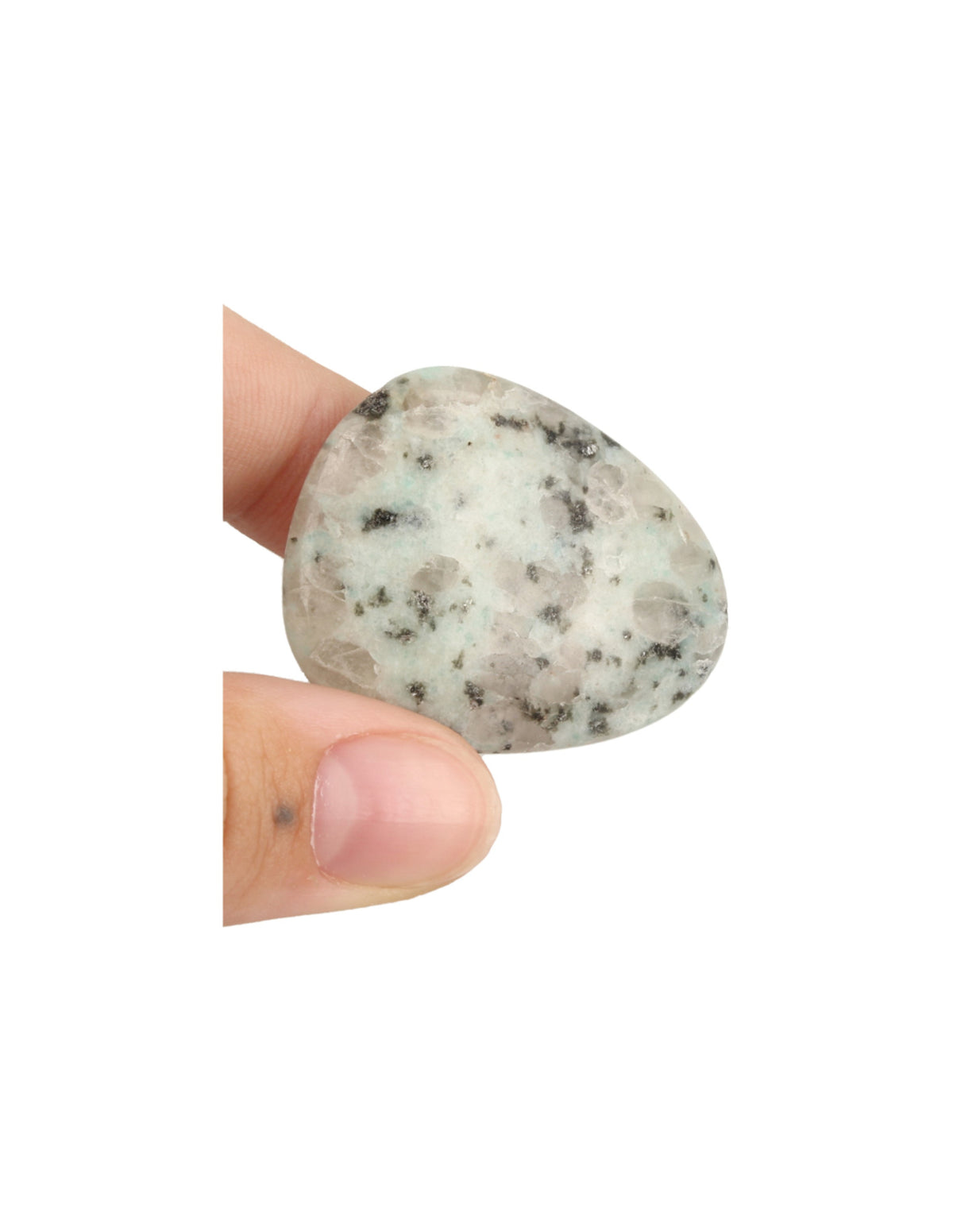 Kiwijaspis trumlad sten, platt, 3 till 4,5 cm