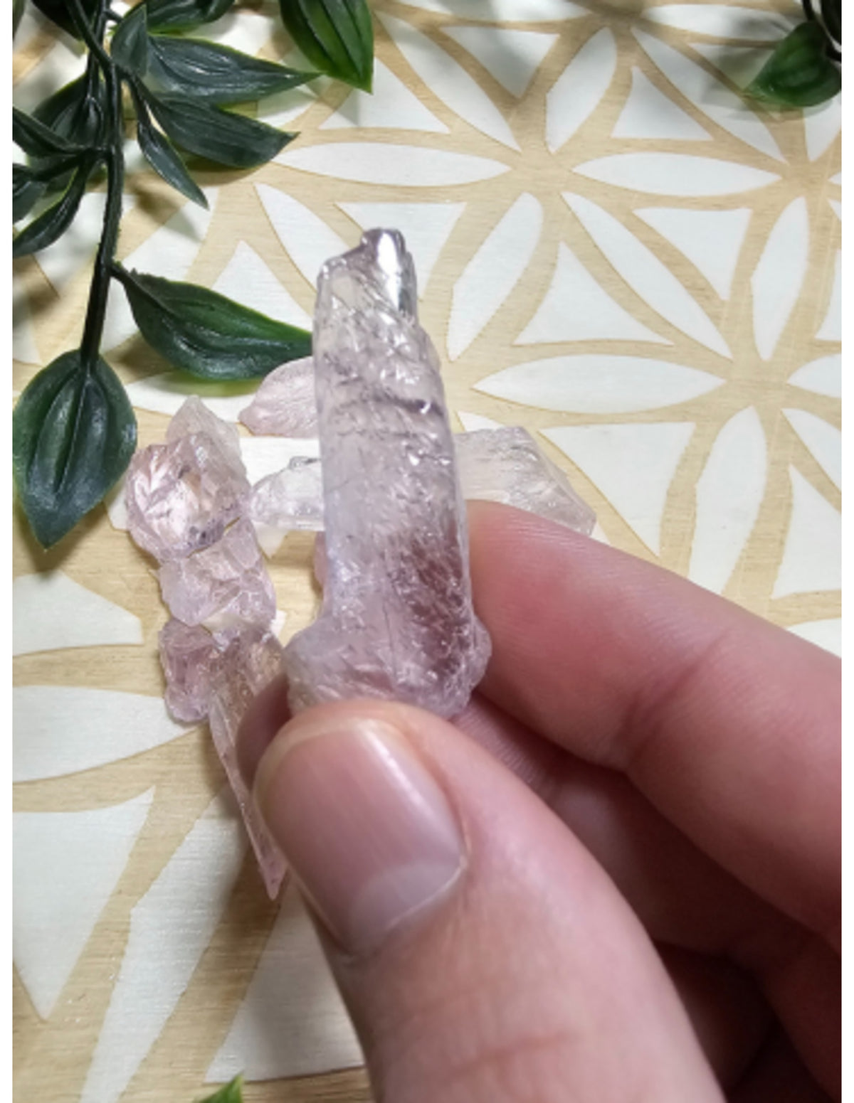 Kunzit rosa råa kristaller från Afghanistan, 50 g
