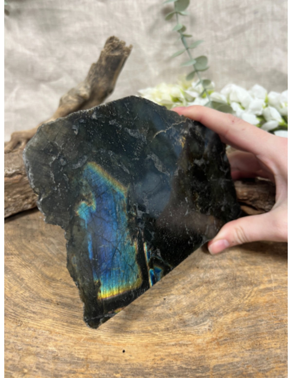 Labradorit halvpolerad skiva, 17 cm, nr 65 (631 g)