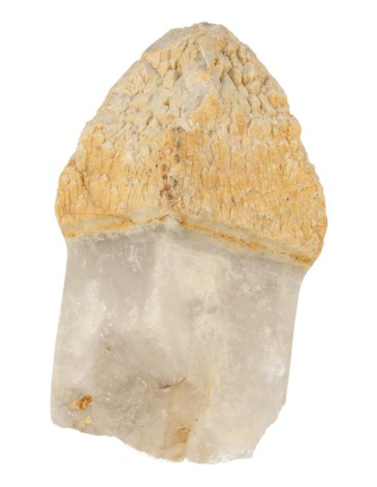 Scepterkvarts kristall, Merlin, 14 cm, 775 g, nr 1
