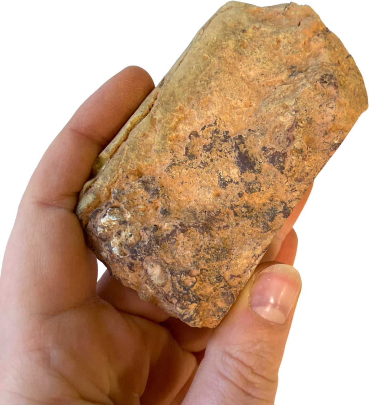 Mokait skiva från Australien, 9,6 cm, nr 13 (124 g)