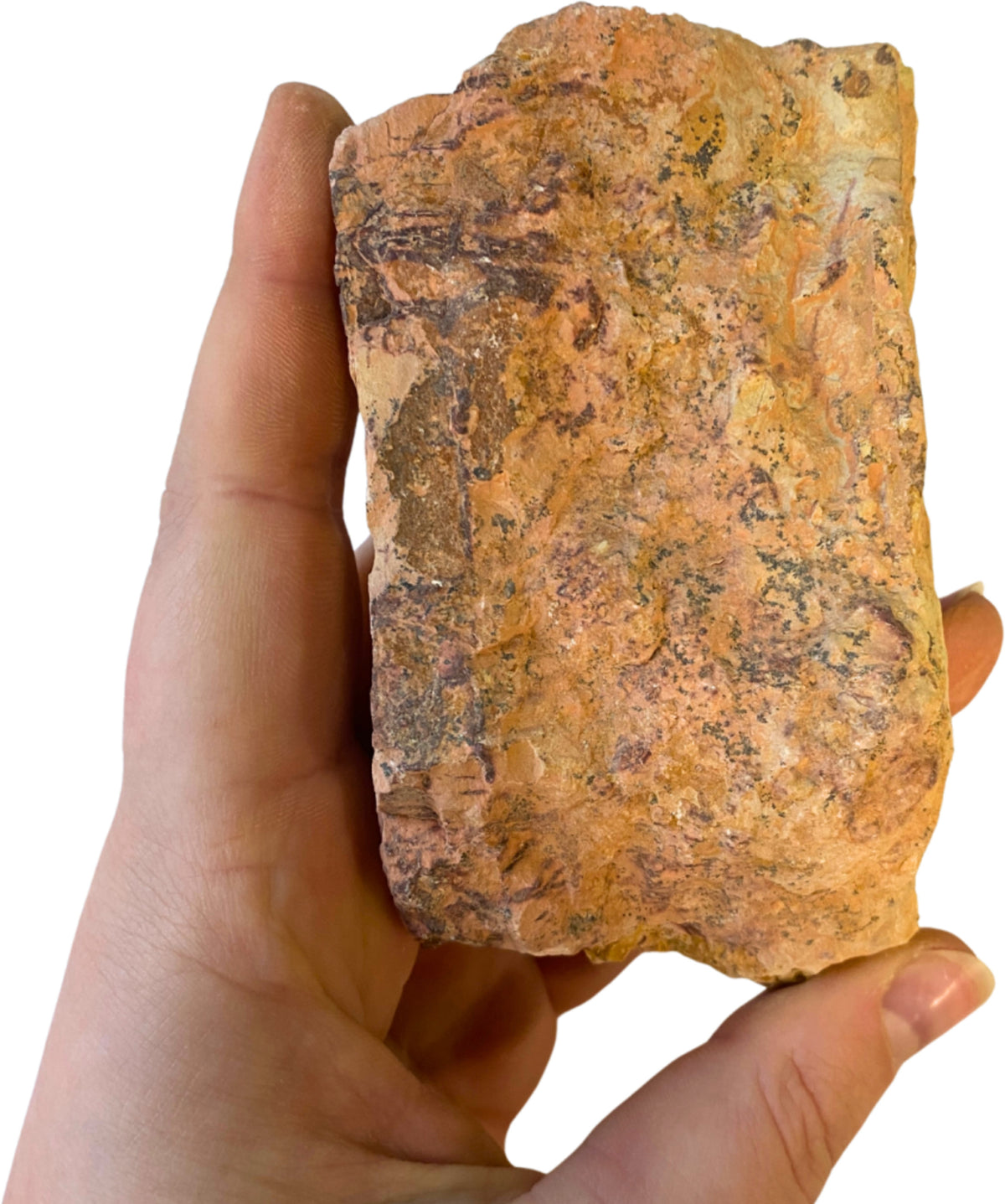Mokait skiva från Australien, 10,7 cm, nr 14 (293 g)
