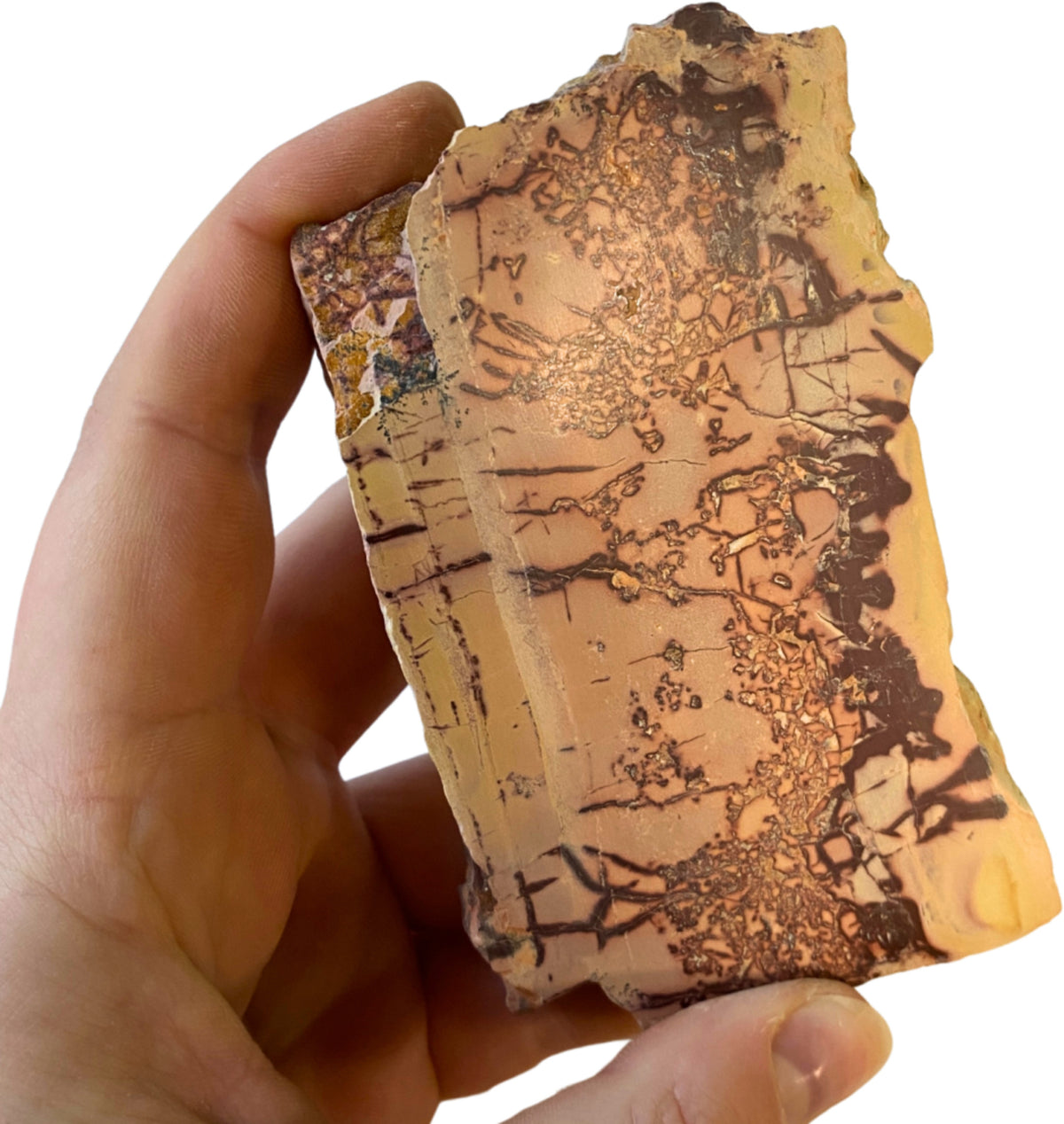 Mokait skiva från Australien, 10,7 cm, nr 14 (293 g)