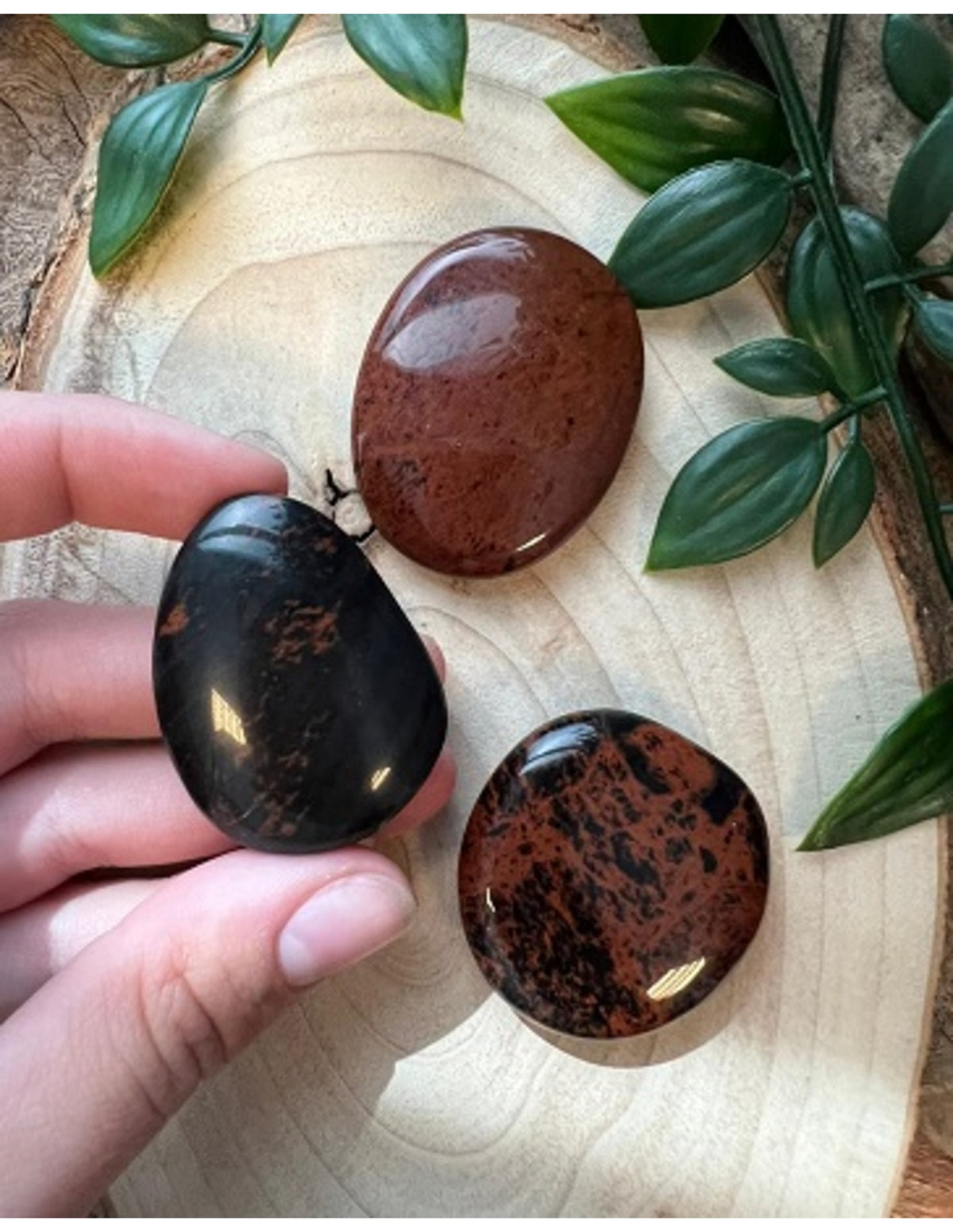Obsidian ficksten, mahogny, 3 till 5 cm, Mexiko