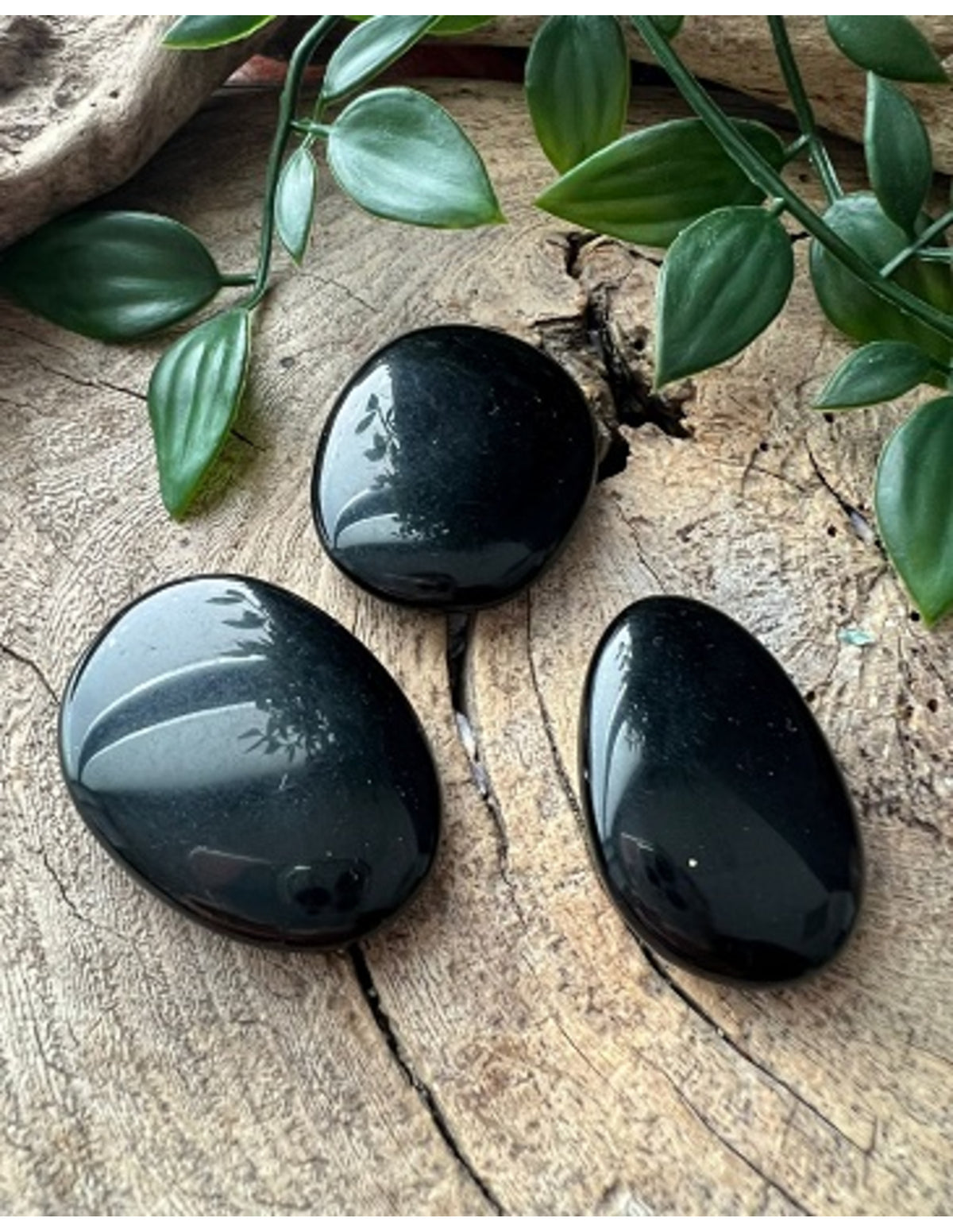 Obsidian ficksten, svart, Mexiko
