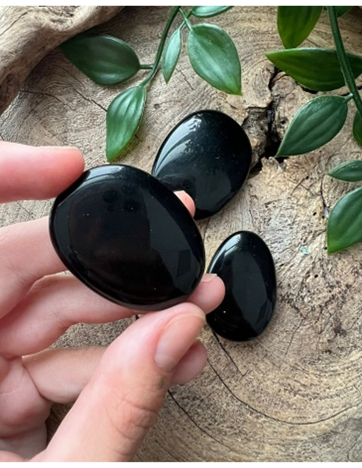 Obsidian ficksten, svart, Mexiko