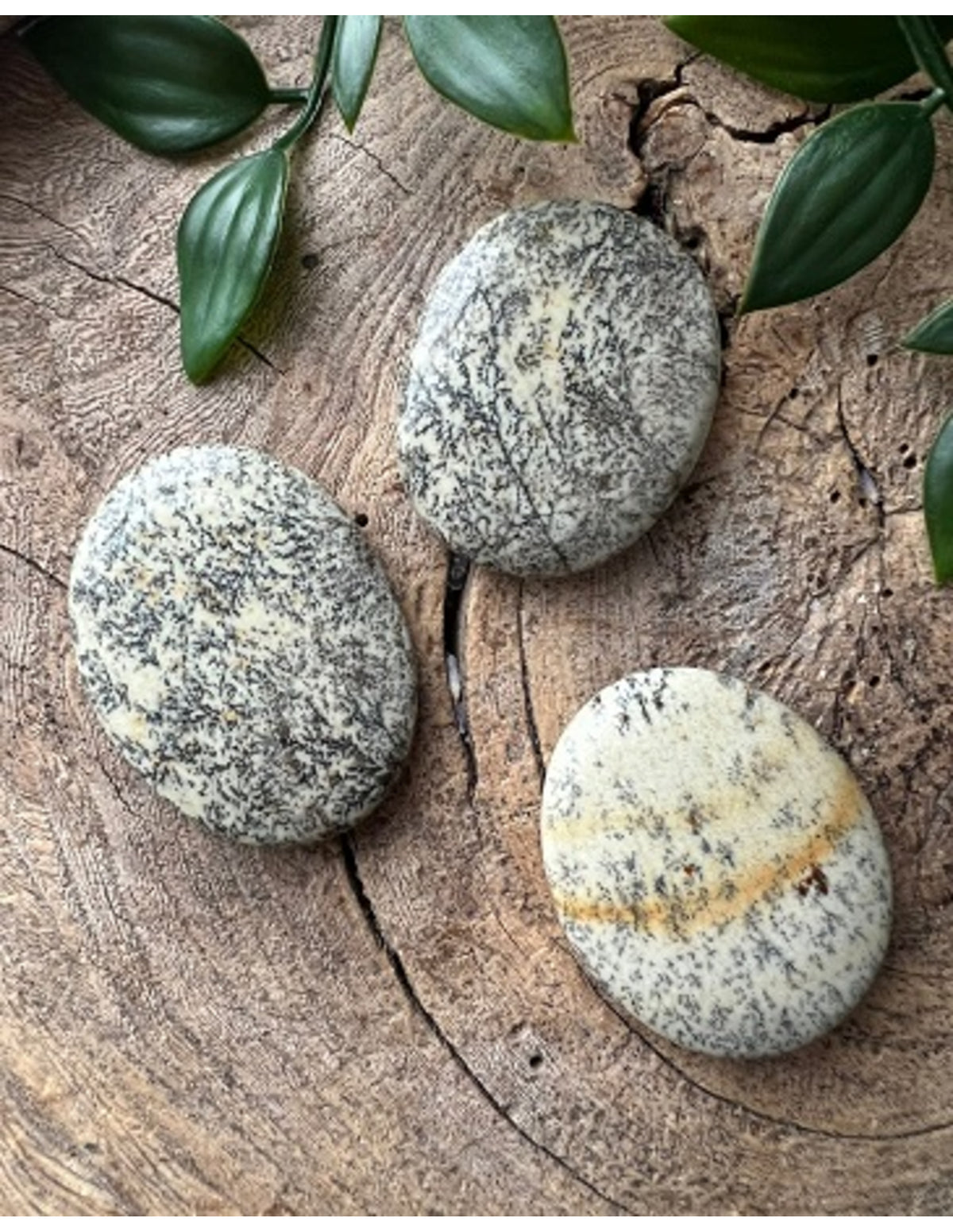Opal ficksten, dendrit, 3 till 5 cm